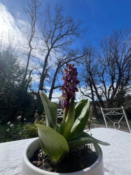 Villa Au Coeur De La Provence Evenos Екстериор снимка